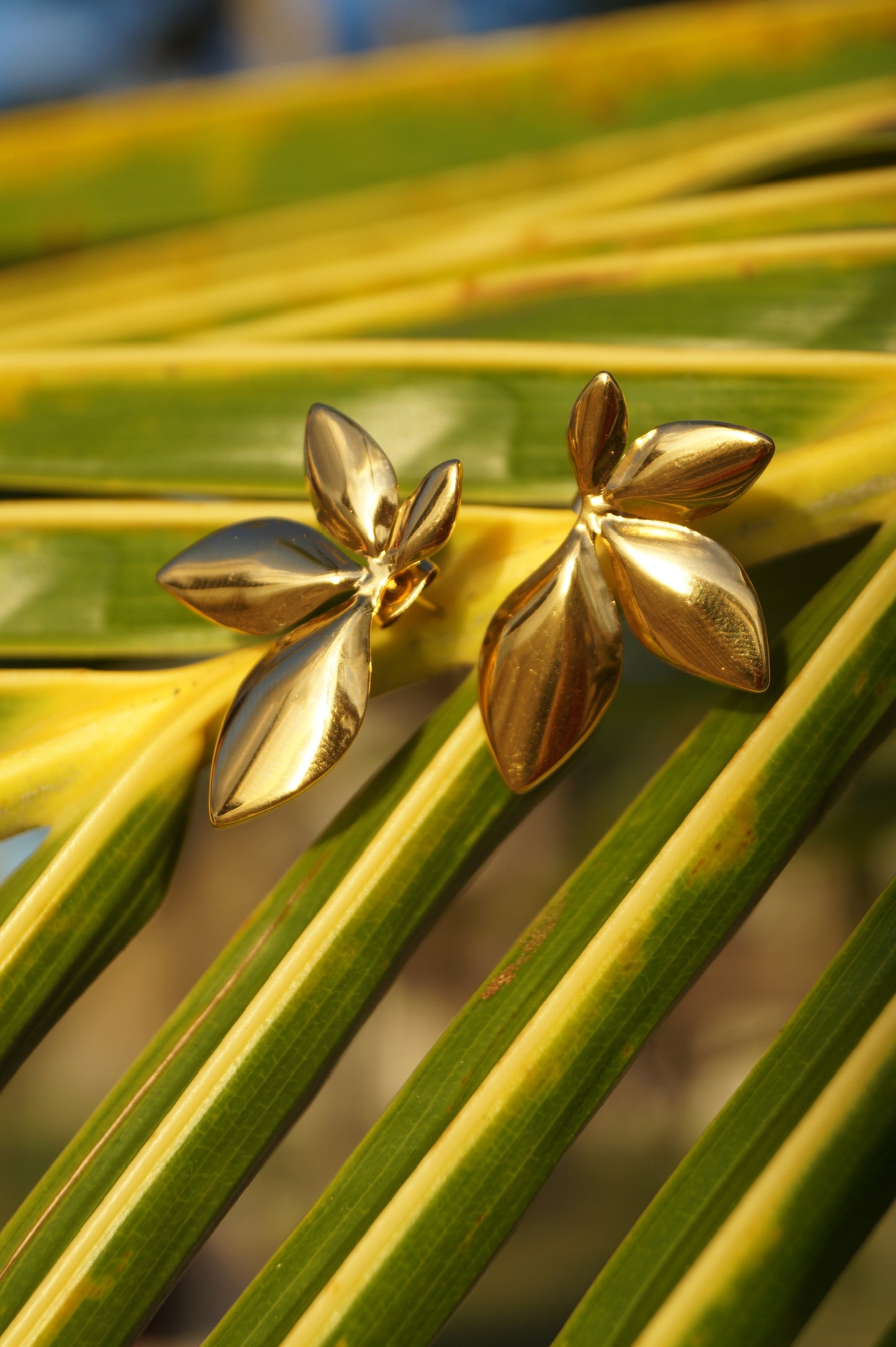 FOGLIA D'ORO Ohrringe